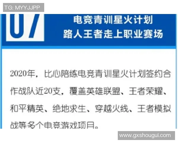 和平精英焦点FPX战队的比赛经验与策略分析探讨