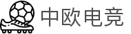 中欧电竞-冠军电竞的摇篮，巨星的舞台